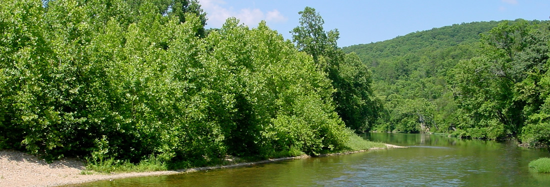 Current River Rates